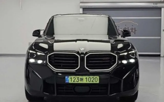 국산하이브리드 XM (G09) 레이블 매물 사진 12 - 2025/12 7,690km